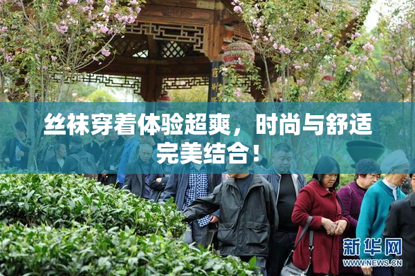 丝袜穿着体验超爽，时尚与舒适完美结合！