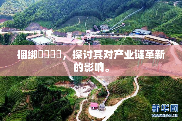 捆绑❌‌❌‌，探讨其对产业链革新的影响。