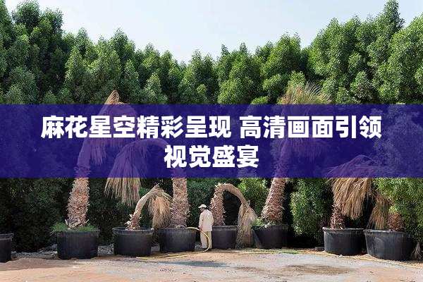 麻花星空精彩呈现 高清画面引领视觉盛宴