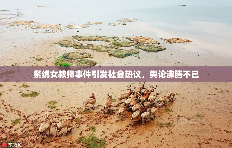 紧缚女教师事件引发社会热议，舆论沸腾不已