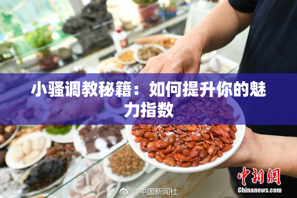 小骚调教秘籍：如何提升你的魅力指数