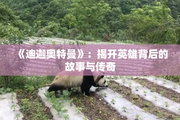 《迪迦奥特曼》：揭开英雄背后的故事与传奇