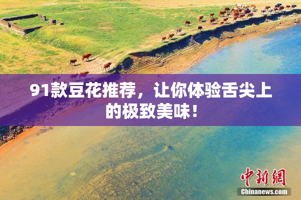 91款豆花推荐，让你体验舌尖上的极致美味！