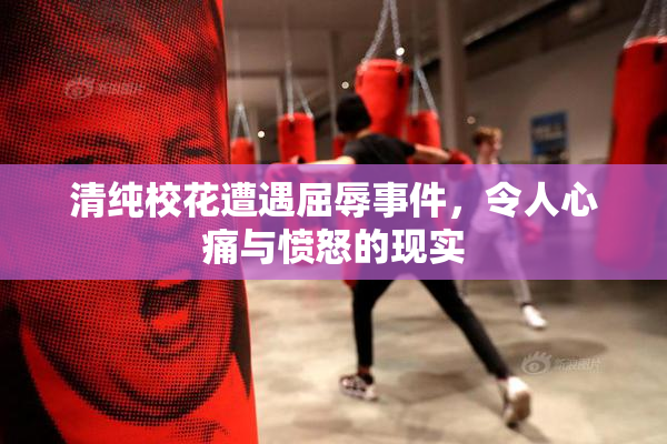 清纯校花遭遇屈辱事件，令人心痛与愤怒的现实