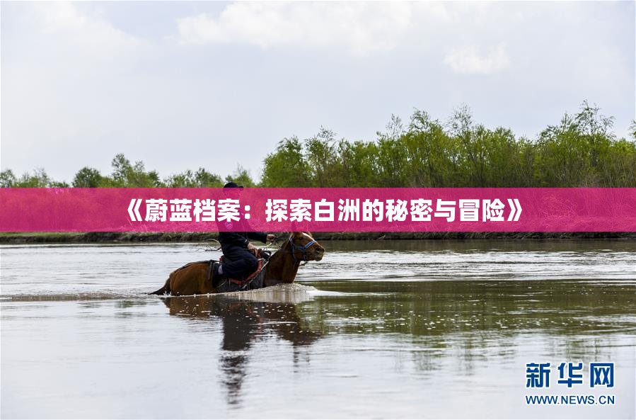《蔚蓝档案：探索白洲的秘密与冒险》