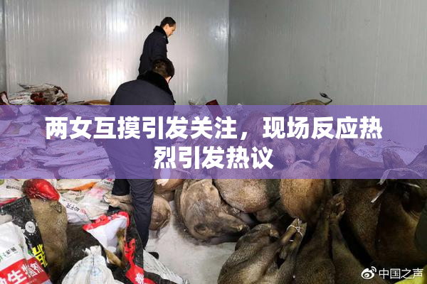 两女互摸引发关注，现场反应热烈引发热议