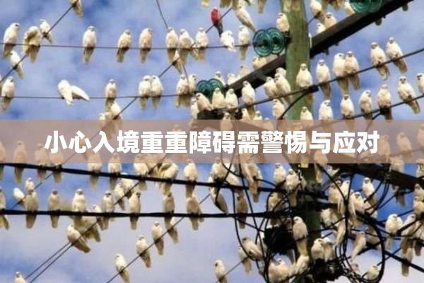 小心入境重重障碍需警惕与应对