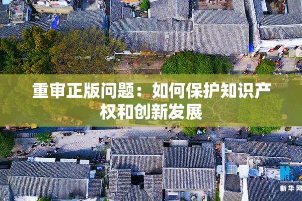 重审正版问题：如何保护知识产权和创新发展