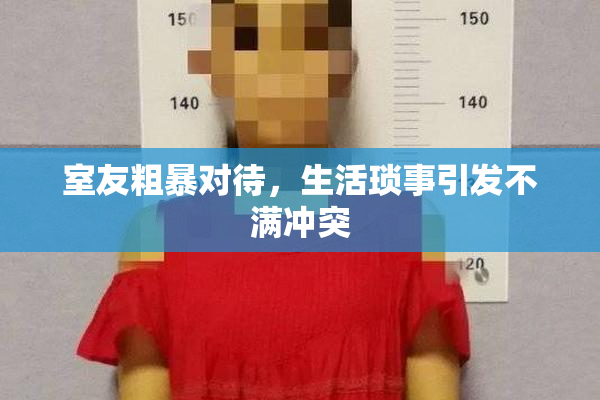 室友粗暴对待，生活琐事引发不满冲突
