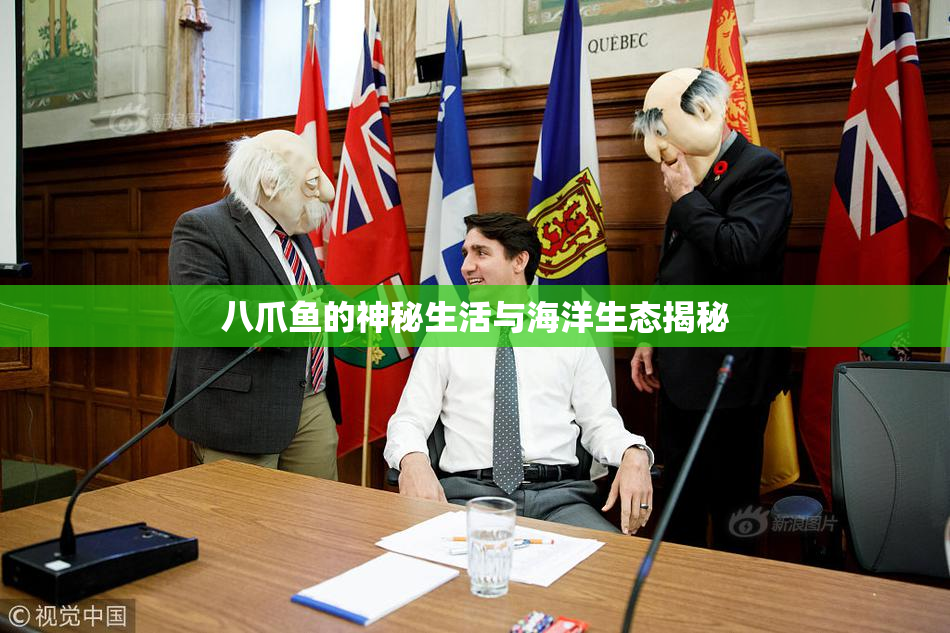 八爪鱼的神秘生活与海洋生态揭秘