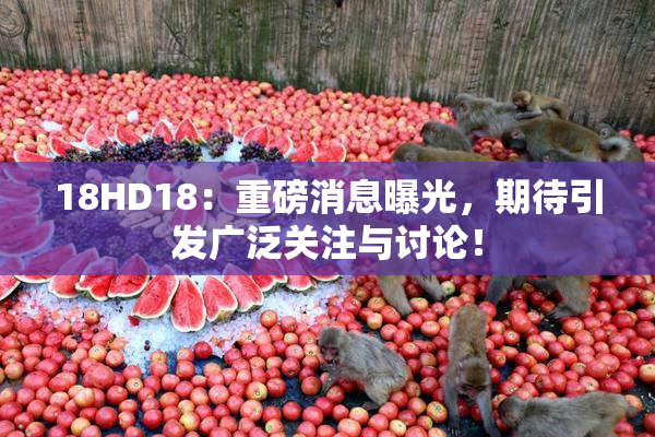 18HD18：重磅消息曝光，期待引发广泛关注与讨论！