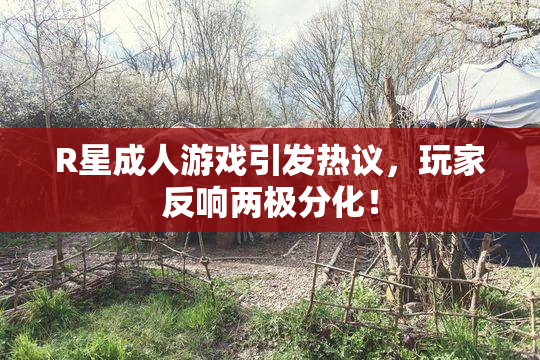 R星成人游戏引发热议，玩家反响两极分化！
