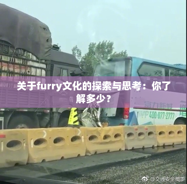 关于furry文化的探索与思考：你了解多少？