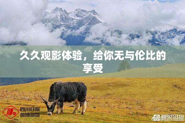 久久观影体验，给你无与伦比的享受