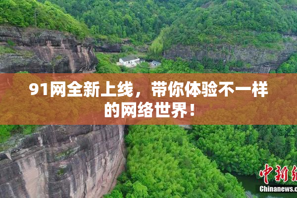 91网全新上线，带你体验不一样的网络世界！