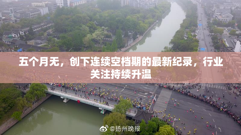 五个月无，创下连续空档期的最新纪录，行业关注持续升温
