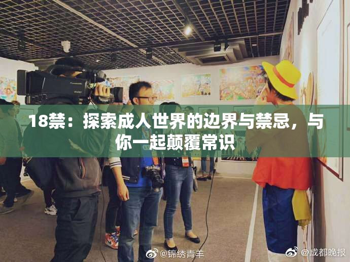 18禁：探索成人世界的边界与禁忌，与你一起颠覆常识