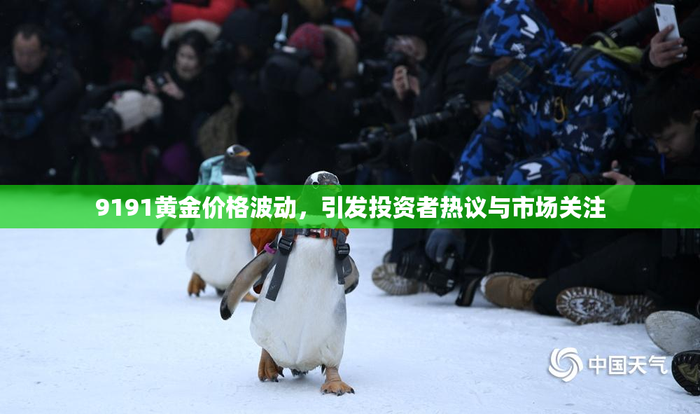 9191黄金价格波动，引发投资者热议与市场关注
