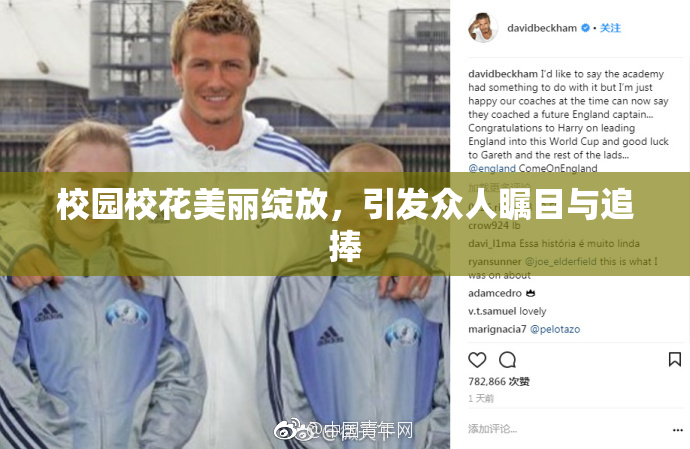 校园校花美丽绽放，引发众人瞩目与追捧