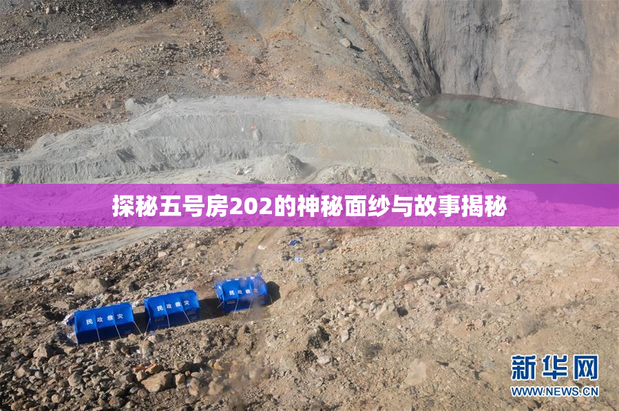 探秘五号房202的神秘面纱与故事揭秘