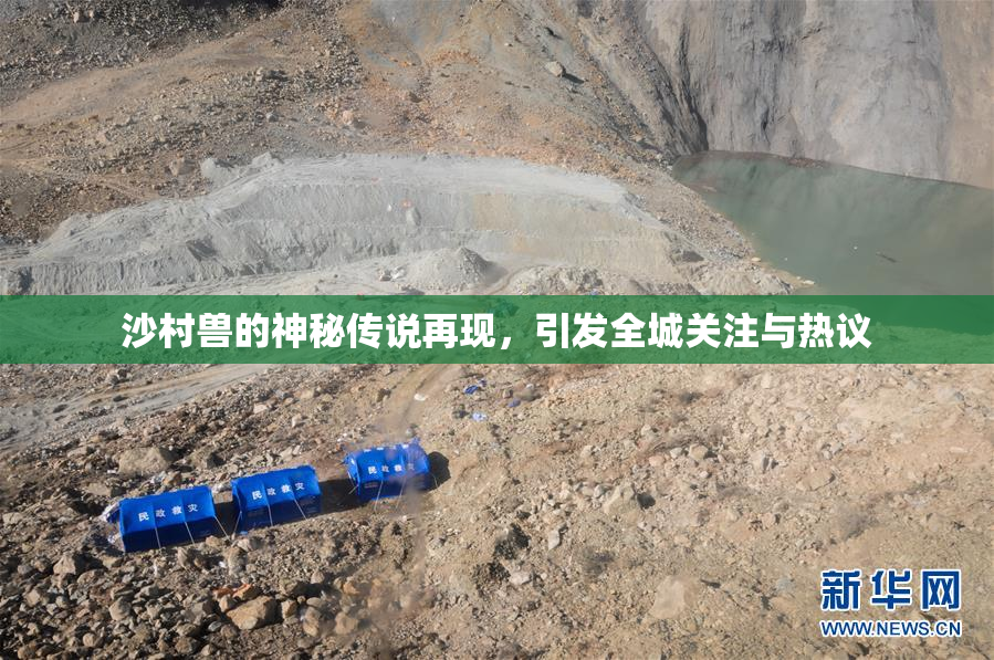 沙村兽的神秘传说再现，引发全城关注与热议