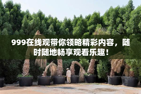 999在线观带你领略精彩内容，随时随地畅享观看乐趣！
