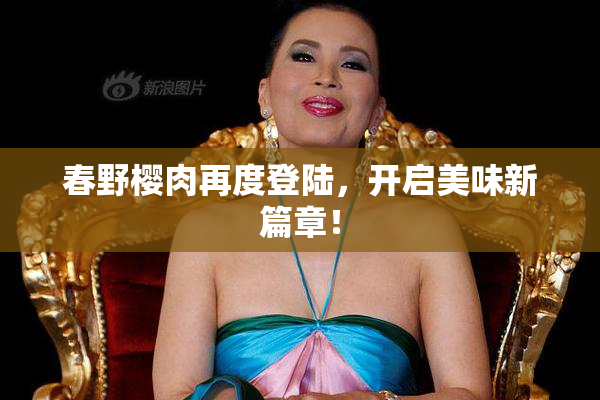 春野樱肉再度登陆，开启美味新篇章！