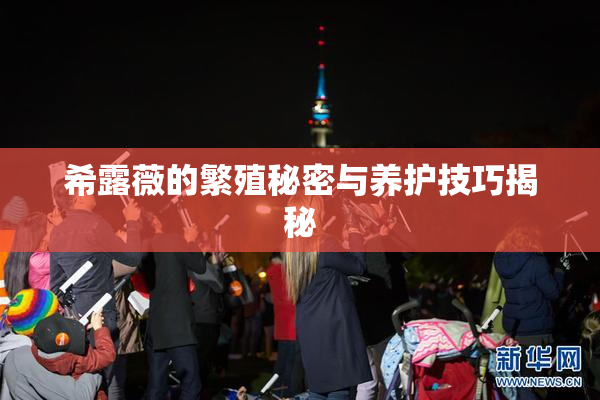 希露薇的繁殖秘密与养护技巧揭秘