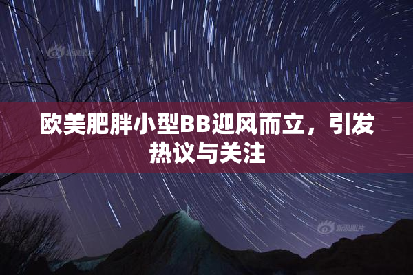 欧美肥胖小型BB迎风而立，引发热议与关注