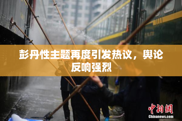 彭丹性主题再度引发热议，舆论反响强烈