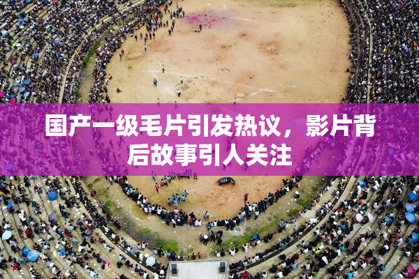 国产一级毛片引发热议，影片背后故事引人关注