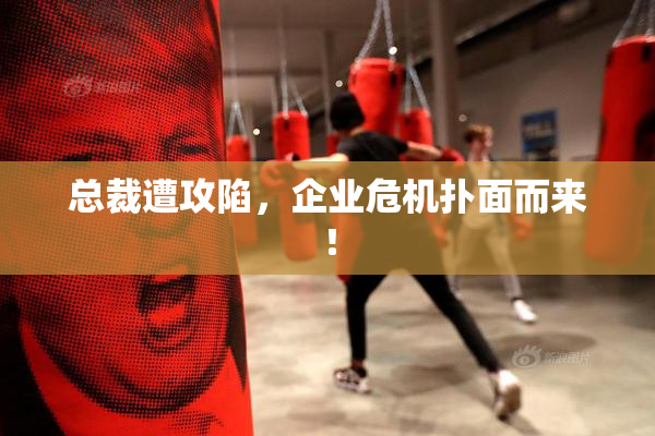 总裁遭攻陷，企业危机扑面而来！