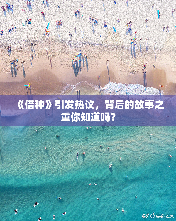 《借种》引发热议，背后的故事之重你知道吗？