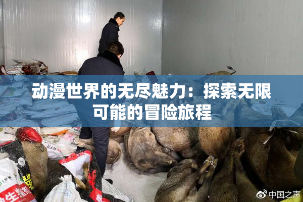动漫世界的无尽魅力：探索无限可能的冒险旅程