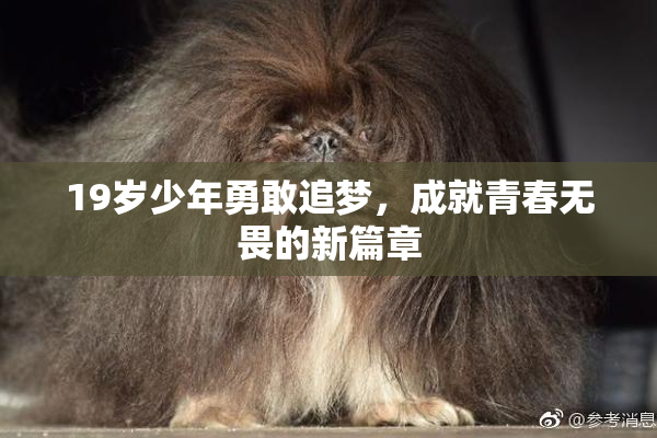 19岁少年勇敢追梦，成就青春无畏的新篇章