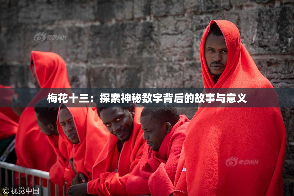 梅花十三：探索神秘数字背后的故事与意义