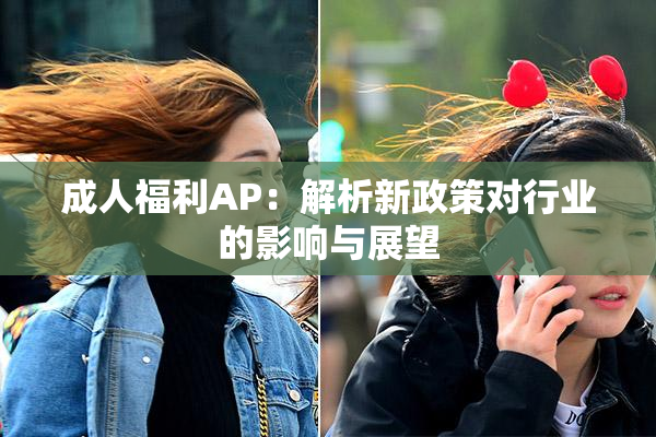 成人福利AP：解析新政策对行业的影响与展望