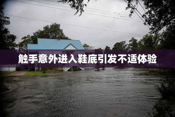触手意外进入鞋底引发不适体验