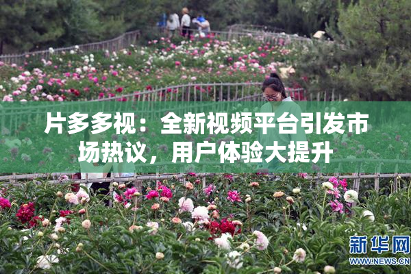片多多视：全新视频平台引发市场热议，用户体验大提升