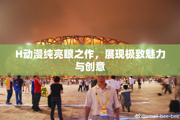 H动漫纯亮眼之作，展现极致魅力与创意