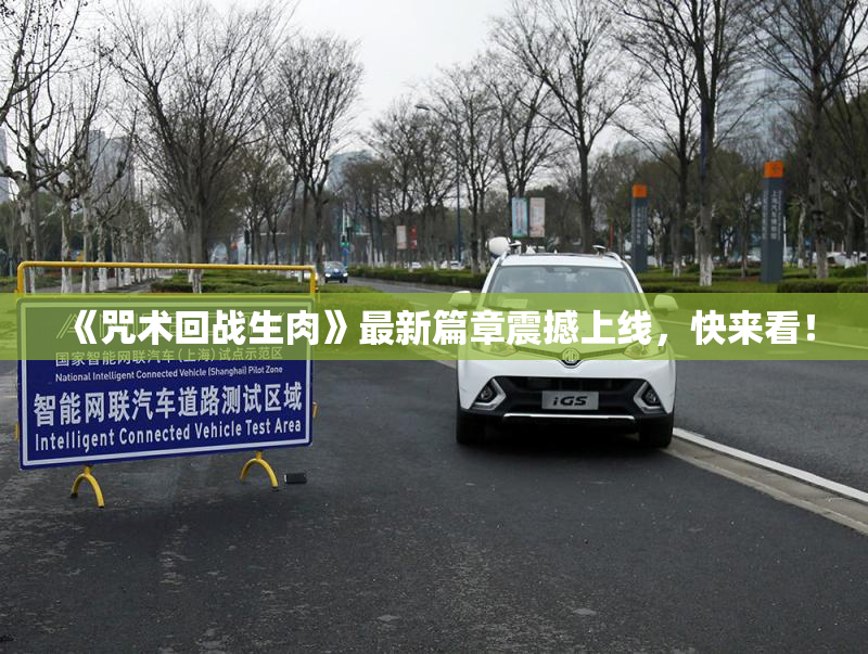 《咒术回战生肉》最新篇章震撼上线，快来看！