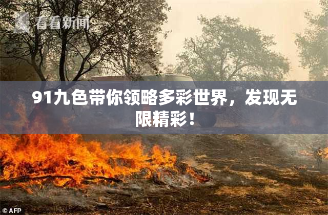 91九色带你领略多彩世界，发现无限精彩！
