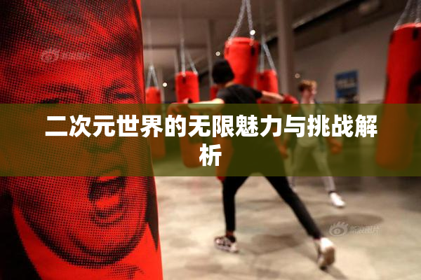 二次元世界的无限魅力与挑战解析