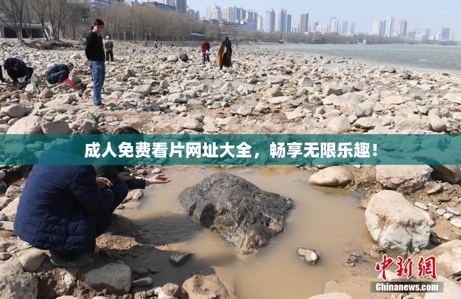 成人免费看片网址大全，畅享无限乐趣！