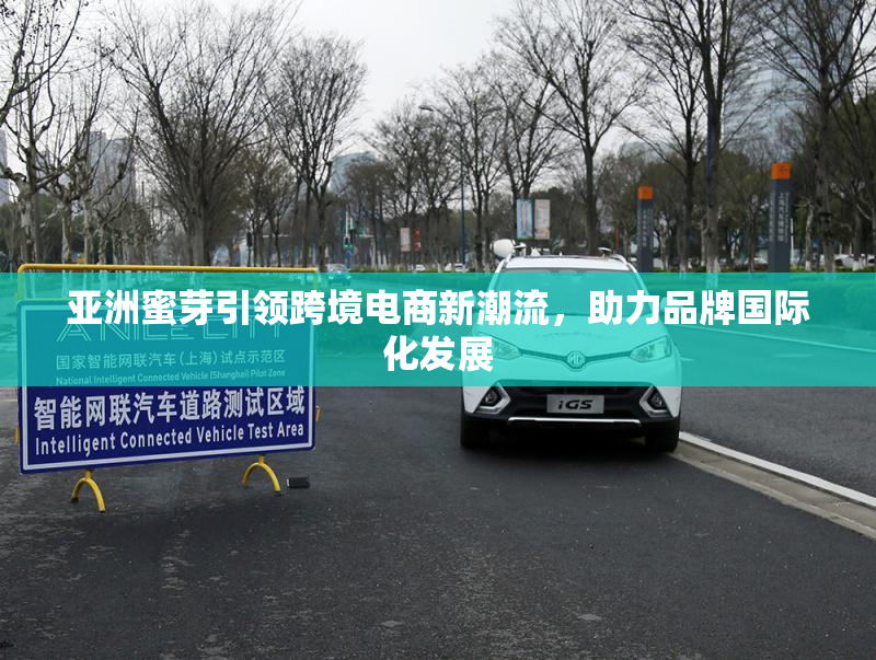 亚洲蜜芽引领跨境电商新潮流，助力品牌国际化发展