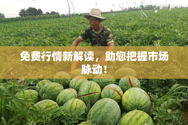 免费行情新解读，助您把握市场脉动！