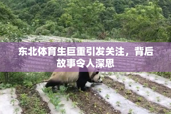 东北体育生巨重引发关注，背后故事令人深思