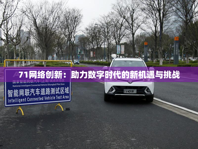 71网络创新：助力数字时代的新机遇与挑战