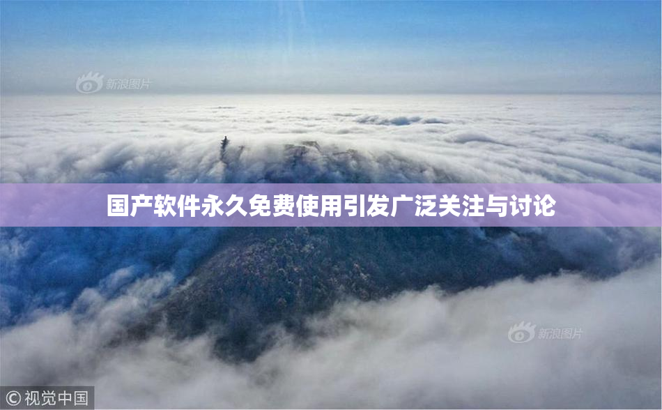 国产软件永久免费使用引发广泛关注与讨论