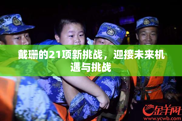 戴珊的21项新挑战，迎接未来机遇与挑战